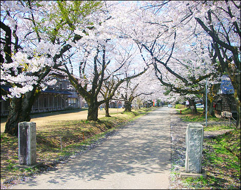 Matsugaoka Land Reclamation Site